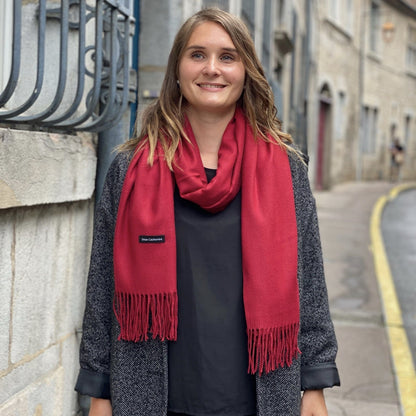 Cashmere scarf + free tote bag